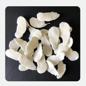 Bulk supplier of Chloroprene Rubber CR2444. High-performance grade for automotive, oil & gas, and heavy-duty industrial applications. Reliable CR2444 for extreme conditions.